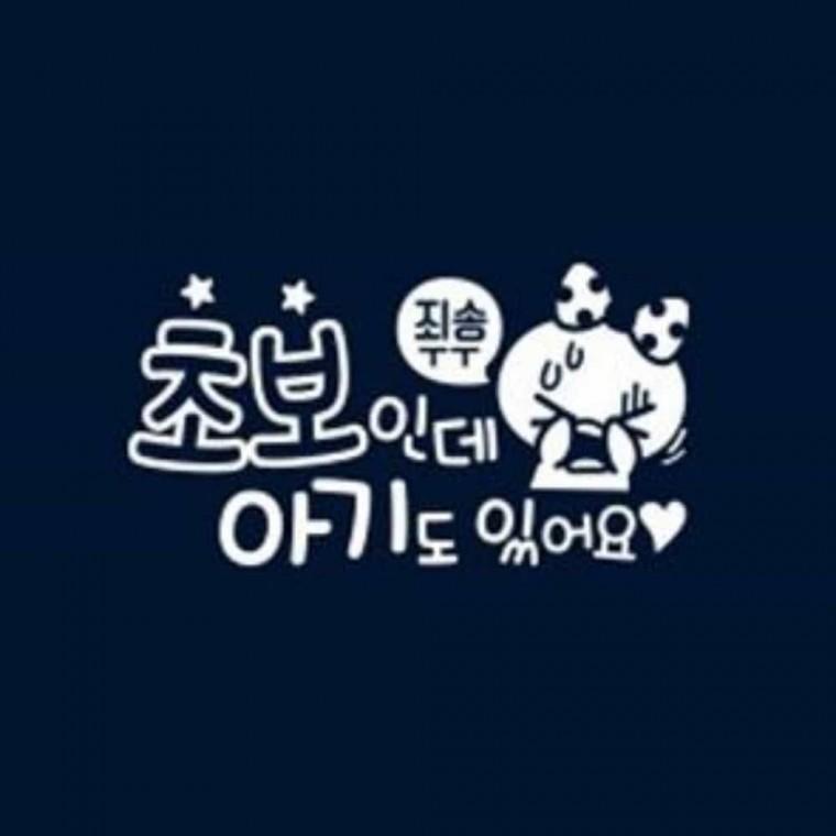 초보 자동차스티커 화이트 차량스티커 차뒷유리스티커 자동차뒷유리스티커
