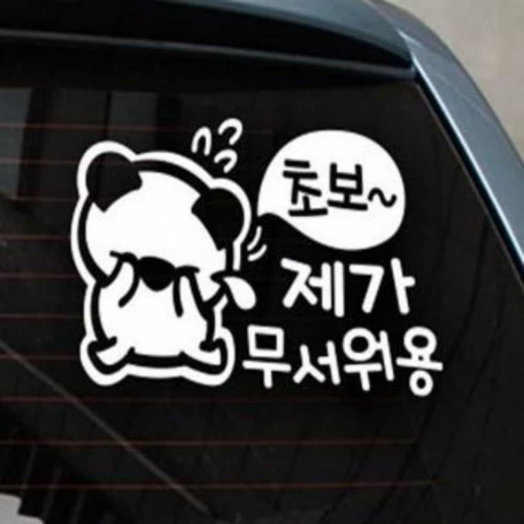 자동차스티커 차량스티커 차외부스티커 귀여운초보운전스티커
