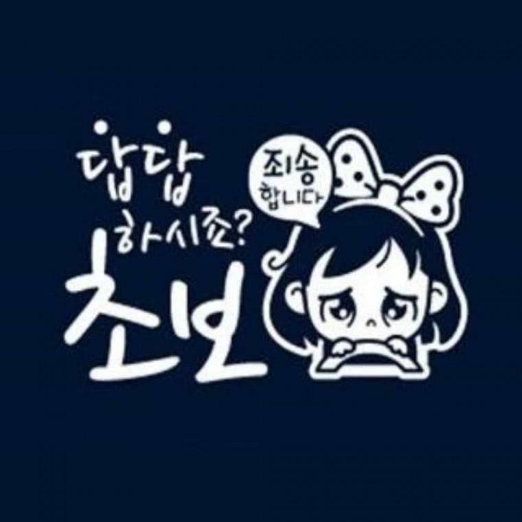 자동차스티커 차에붙이는스티커 차꾸미기스티커 자동차안전스티커
