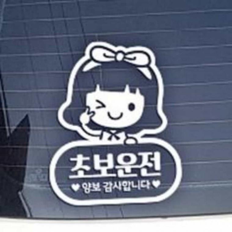 자동차스티커 화이트 초보운전스티커 초보운전 카스티커