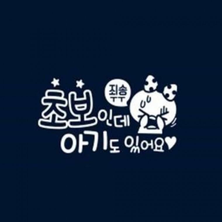 자동차스티커 반사 아기차량스티커 차량스티커 차량용시트지