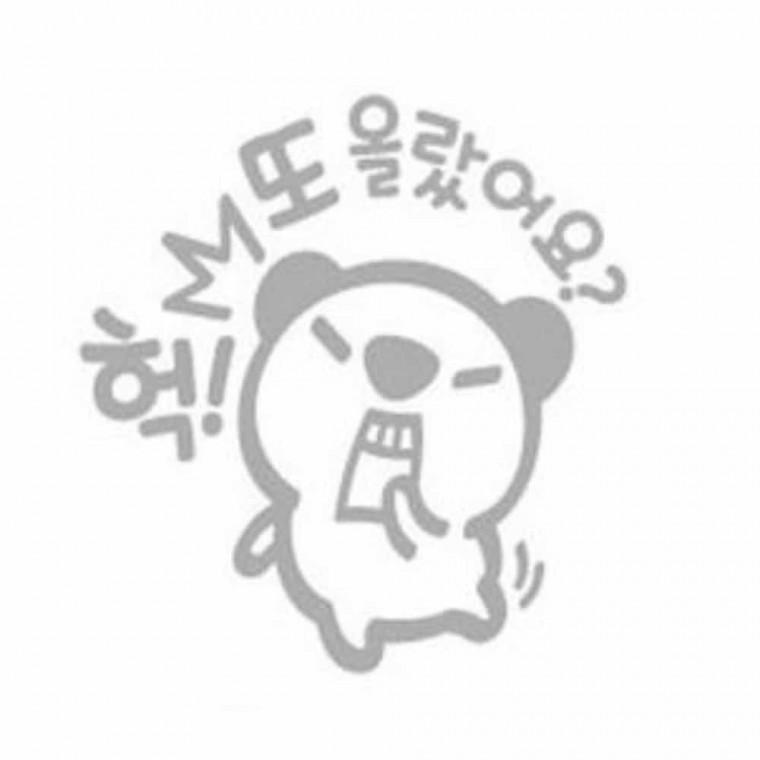 자동차 주유구스티커 꾸미기용품 자동차용품 차량소품