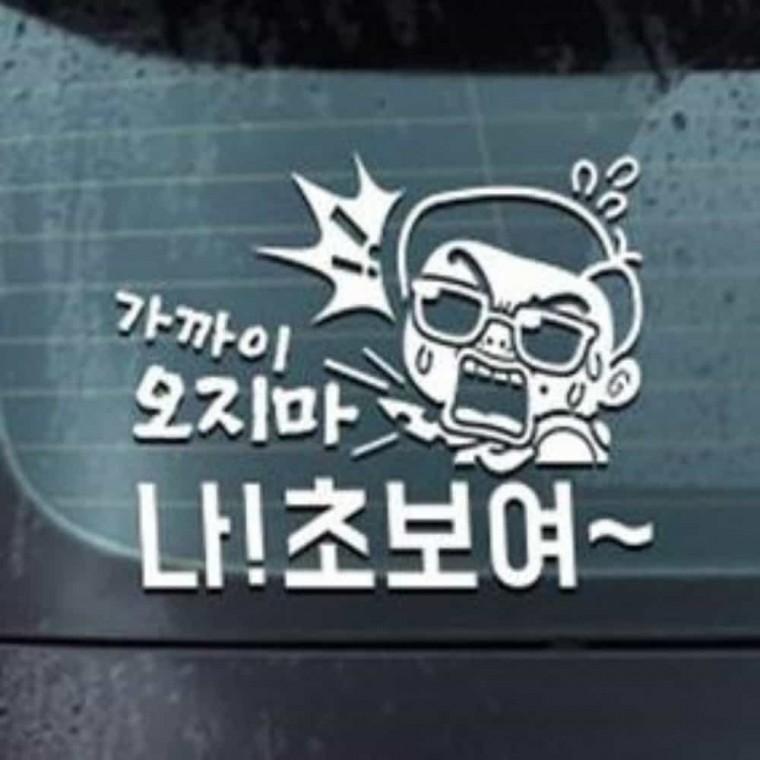 자동차스티커 왕초보운전 차량스티커 자동차초보스티커