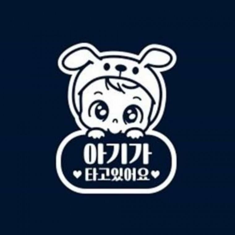 자동차스티커 자동차아기스티커 차량스티커 아기가타고있어요차량용