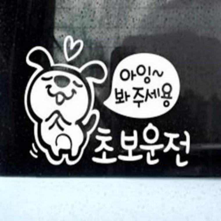 자동차스티커 차유리스티커 차량스티커 차량용안전용품
