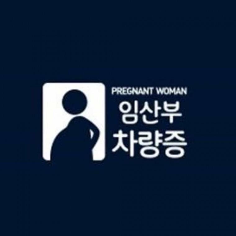 자동차스티커 화이트 데코스티커 자동차꾸미기 차량스티커