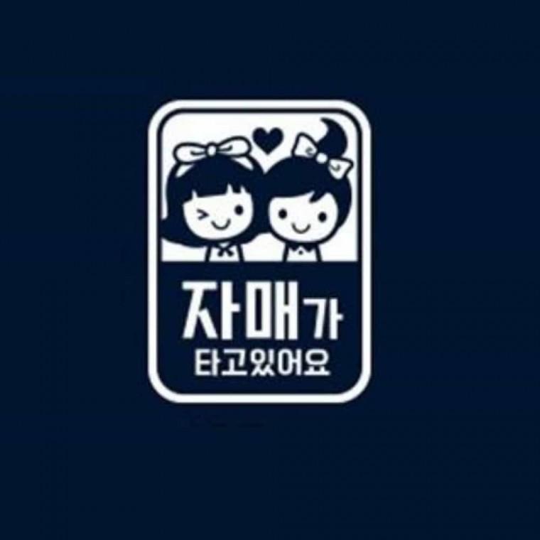 자동차스티커 화이트 안전거리유지스티커 차량스티커 차량안전스티커
