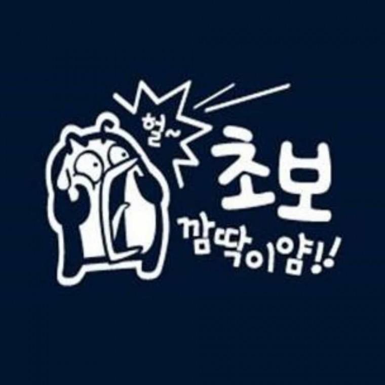 자동차스티커 운전스티커 차량데칼 차량안전