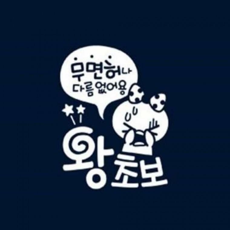 자동차스티커 초보스티커 차량부착스티커 왕초보스티커