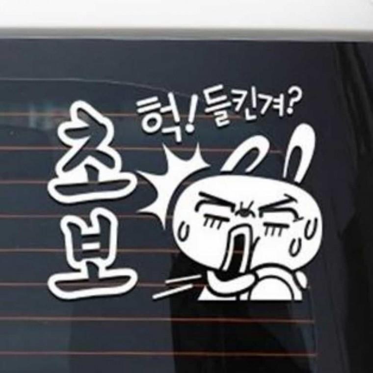 자동차스티커 초보스티커 왕초보스티커 차량스티커