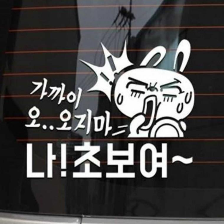 자동차스티커 자동차시트지 차량스티커 왕초보운전