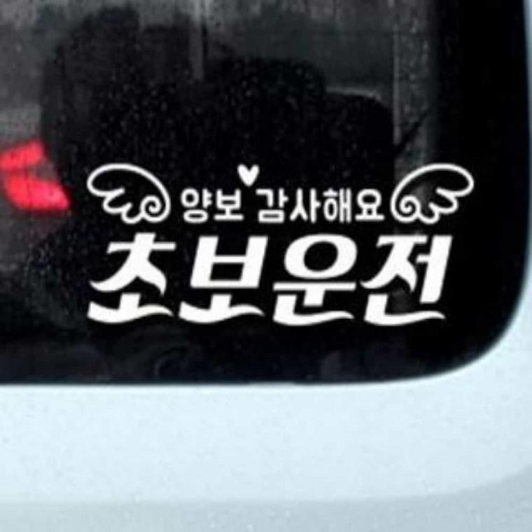 자동차스티커 카스티커 안전운전스티커 차량양보스티커