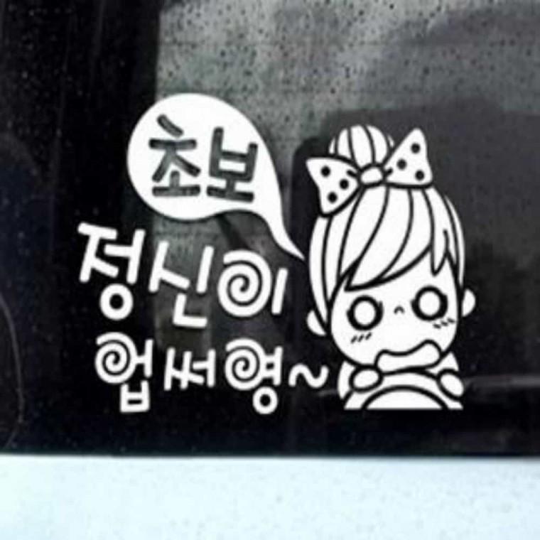 자동차스티커 차량용반사스티커 왕초보운전스티커 초보운전표시
