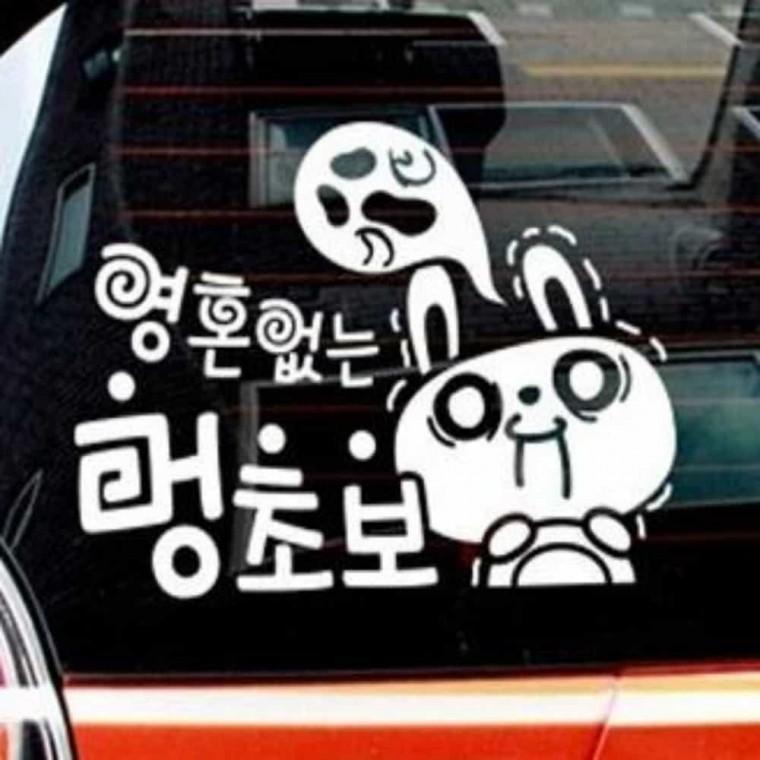 자동차스티커 차량용반사스티커 자동차안전스티커 차량용양보스티커