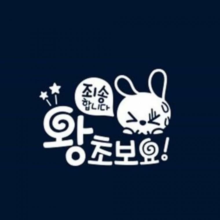 자동차스티커 반사 자동차반사스티커 반사스티커 차량반사스티커