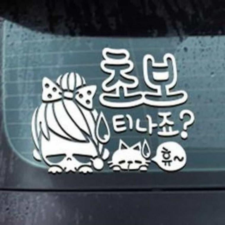 자동차스티커 바이크스티커 초보운전스티커 차량스티커