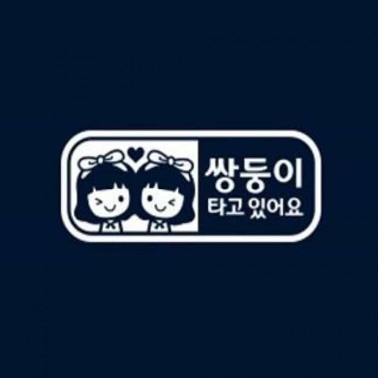 자동차스티커 화이트 쌍둥이가타고있어요 자동차유리스티커 차량용스티커