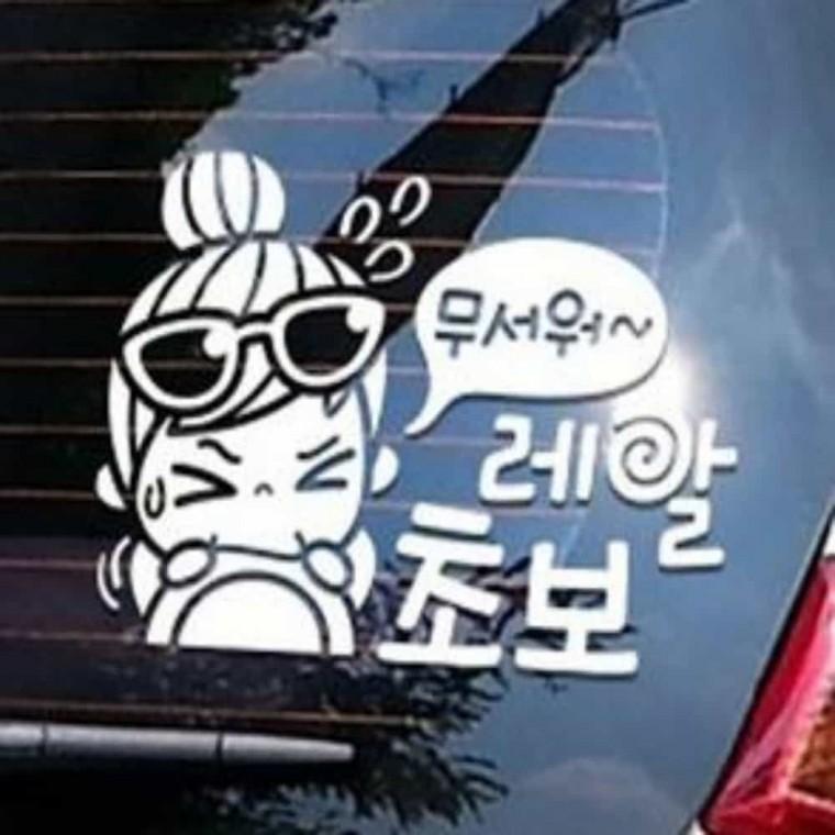 자동차스티커 왕초보스티커 초보운전스티커 차량용시트지
