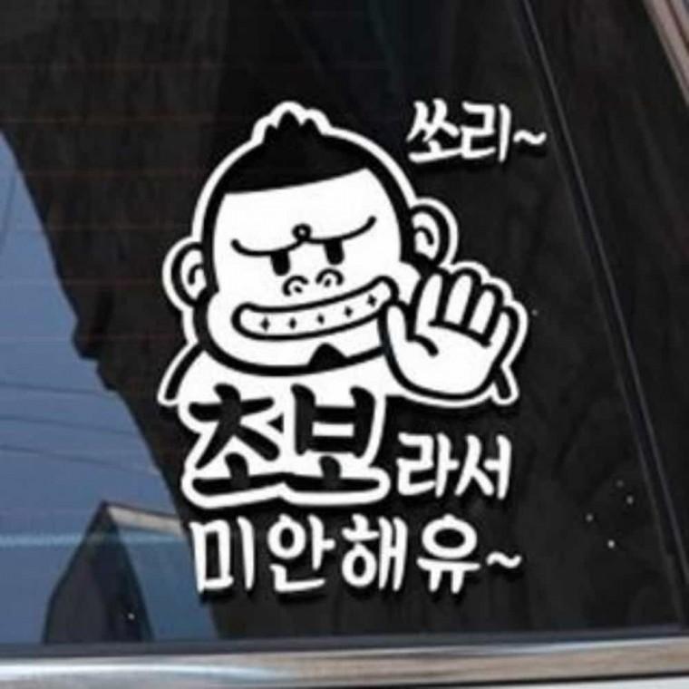 자동차스티커 운전초보 자동차글자스티커 자동차문구