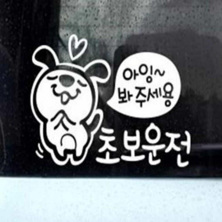 자동차스티커 초보운전 차량시트지 글자스티커