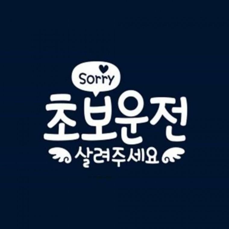 자동차스티커 화이트 차량스티커 차량용스티커 초보운전스티커