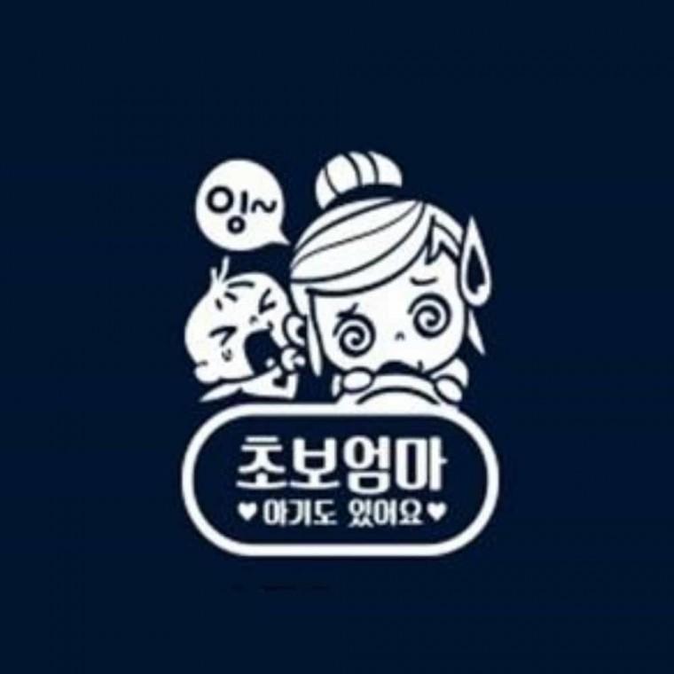 자동차스티커 반사 차량스티커 차량용시트지 초보운전반사스티커
