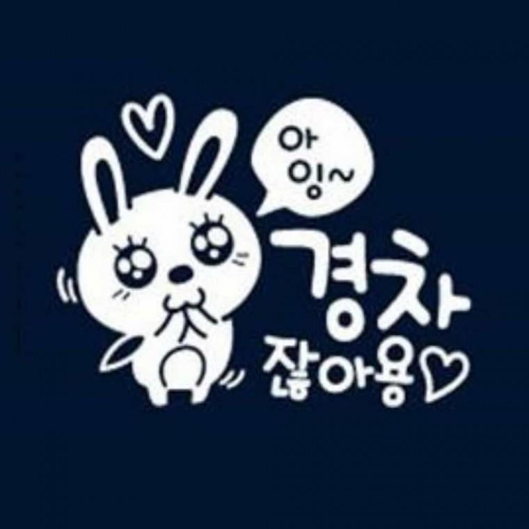 자동차스티커 자동차유리스티커 자동차데칼 경차꾸미기