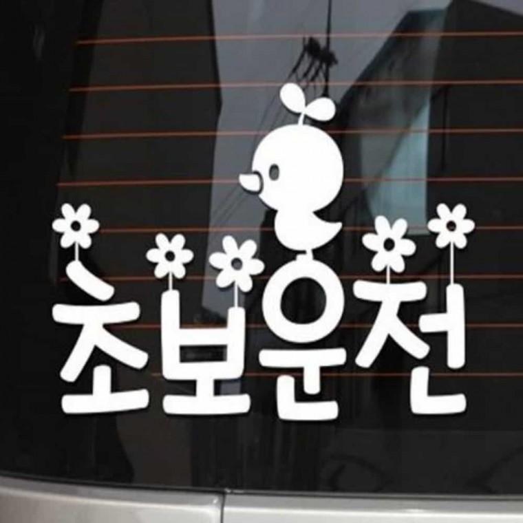 자동차스티커 안전운전스티커 차량용양보스티커 뒷유리스티커
