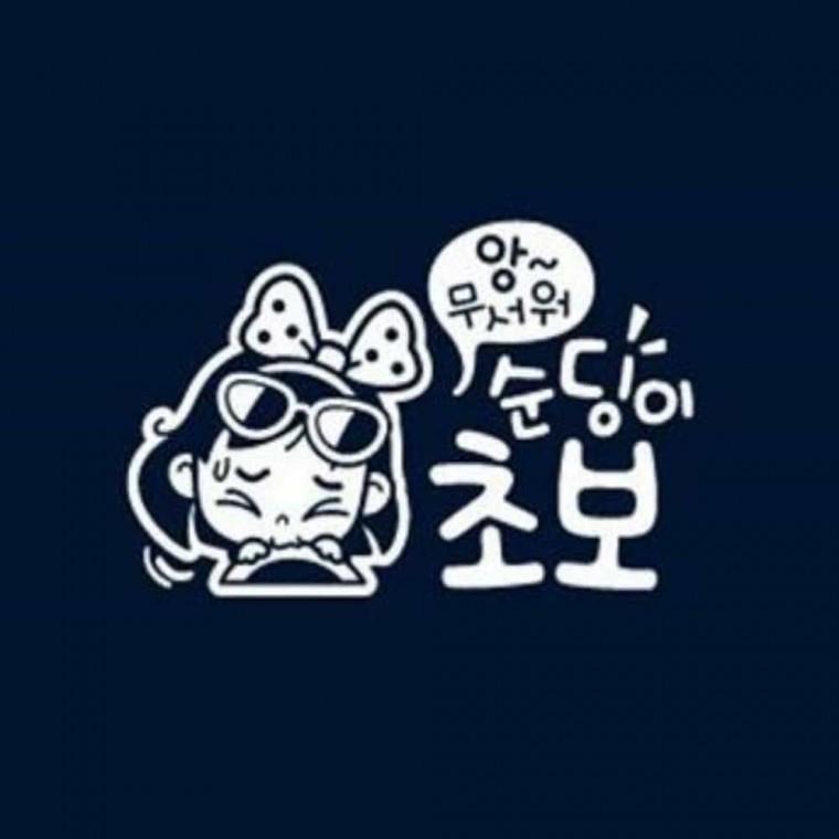 자동차스티커 차량안전스티커 안전운전스티커 자동차레터링