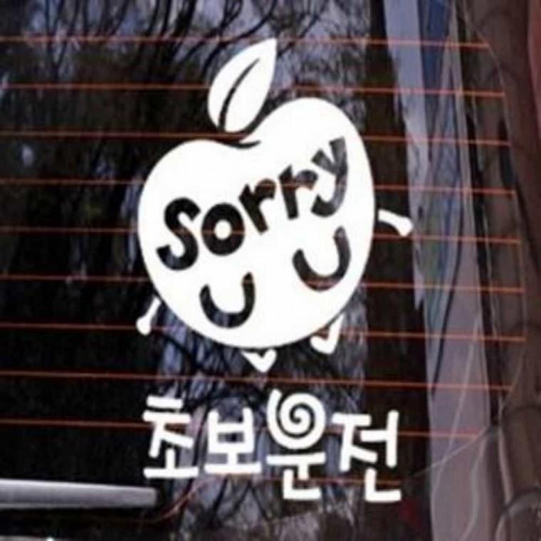 자동차스티커 초보운전스티커 왕초보운전 차량스티커