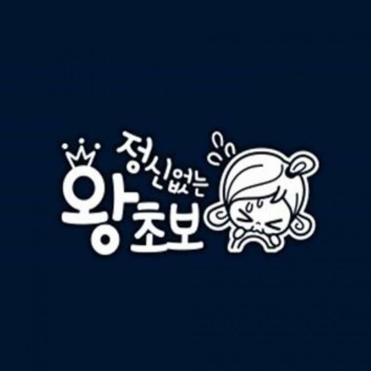 자동차스티커 화이트 반사스티커 왕초보스티커 후부반사지