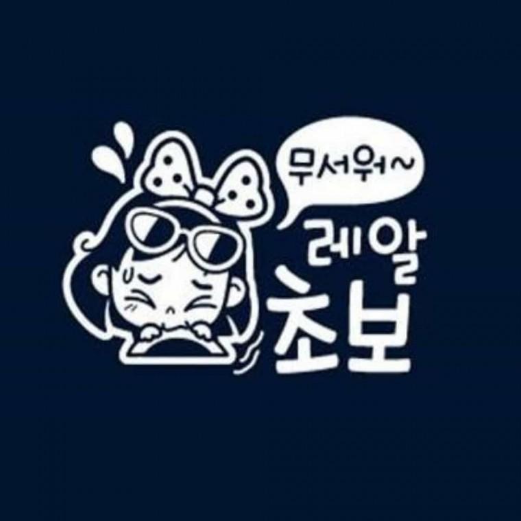자동차스티커 초보운전스티커 자동차유리에붙이는초보운전 초보운전유리스티커