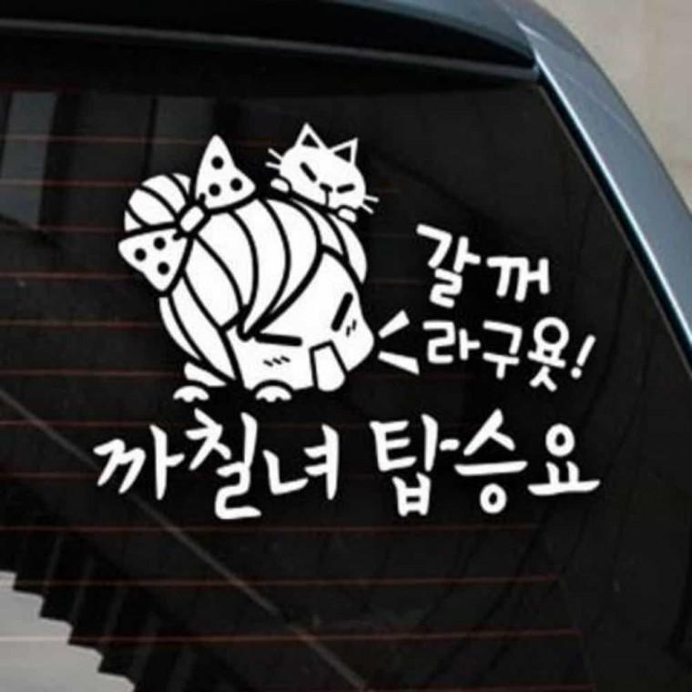 자동차스티커 초보운전스티커 안전운전스티커 안전거리유지스티커