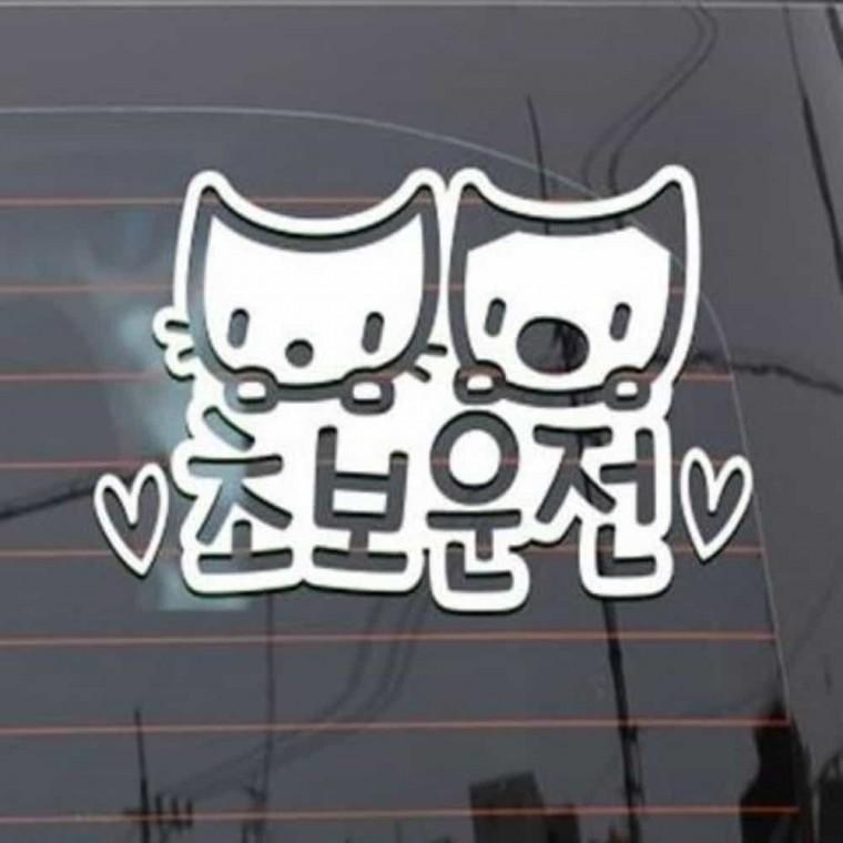 자동차스티커 반사시트지 반사스티커 캐릭터스티커