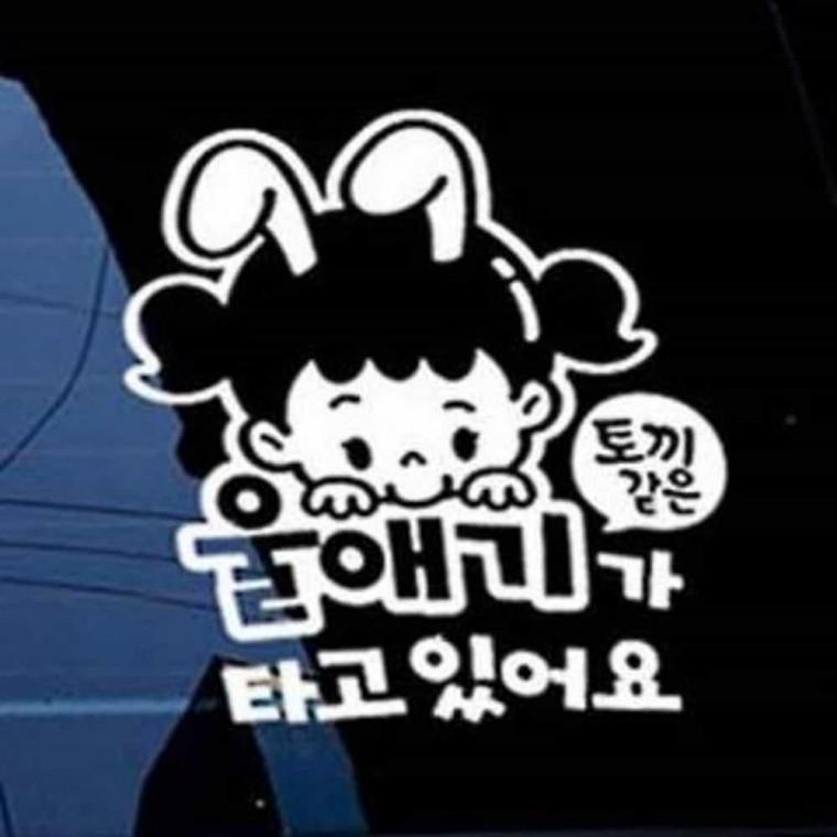 자동차스티커 아이가타고있어요스티커 자동차용스티커 아기가타고있어요스티커