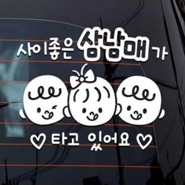 자동차스티커 차량외부스티커 차량용스티커 창문반사시트지