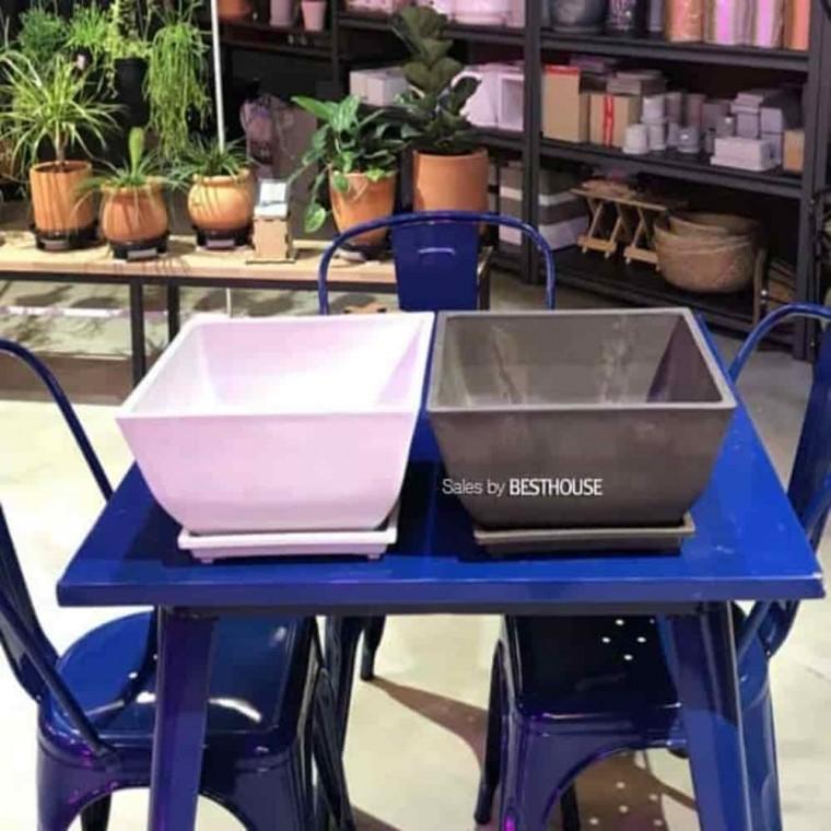 화분분갈이 선인장심기 딸기포트 낮은 정사각 화분 30x30x15
