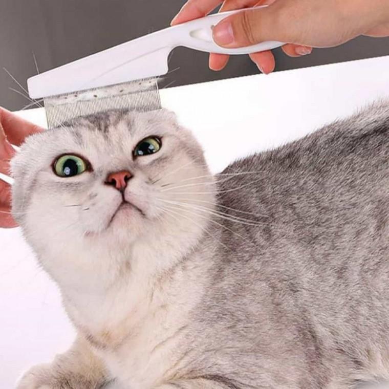 소형 애견미용브러쉬 반려견빗 강아지브러쉬