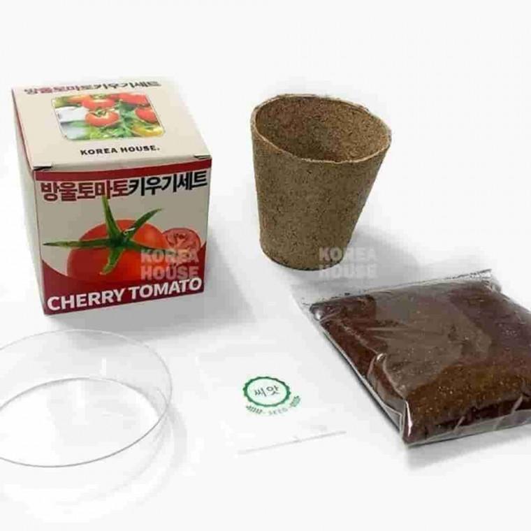 방울토마토 키우기세트 실내식물재배 반려식물키우기 방울토마토키우기키트