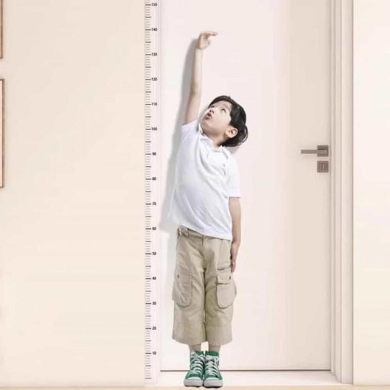 키재기 측정스티커 200cm 어린이집시트지 유치원시트지