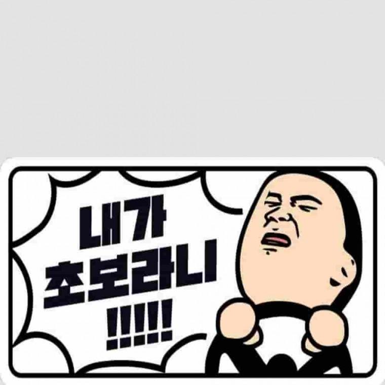 야광스티커 초보운전 내가초보라니 차량데코스티커 차스티커 웃긴스티커 야간스티커 자동차스티커