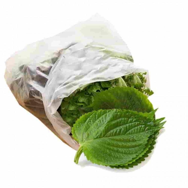 위생백 4호 100매 대30x45 일회용롤백 위생봉투 대용량위생백 위생롤백 일회용비닐