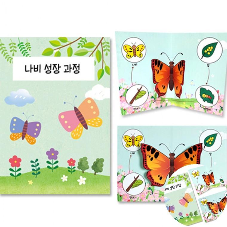 나비 관찰 팝업북 만들기 미술만들기 어린이집만들기 만들기키트