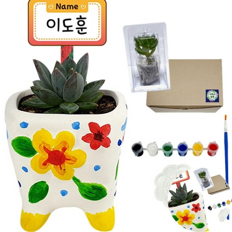 다육식물 입체화분 물감세트 미니화분꾸미기 다육이화분만들기 화분DIY