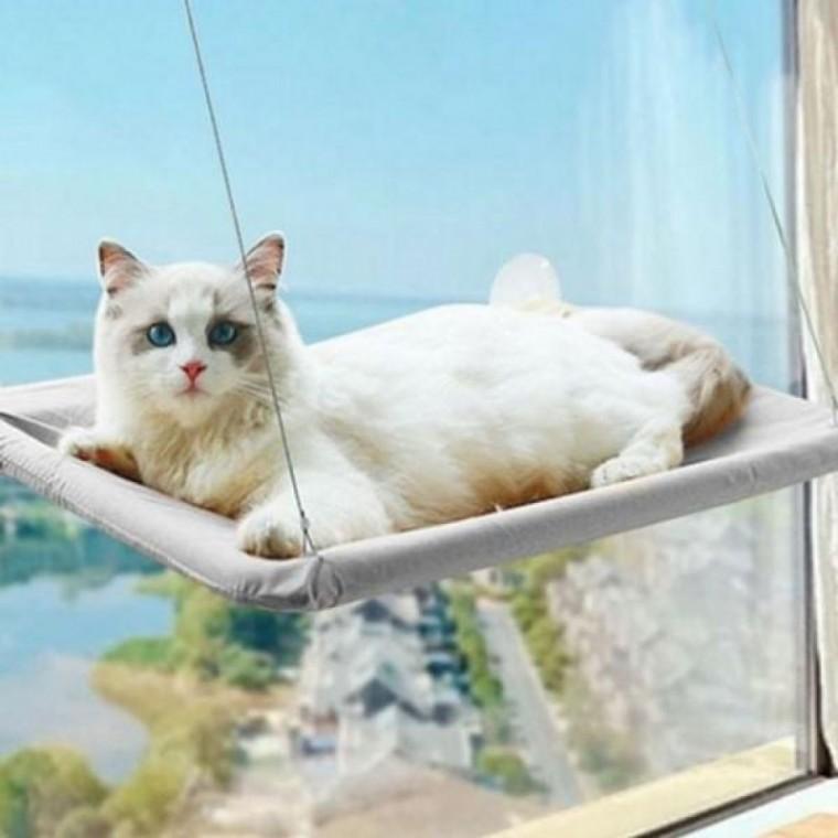 창틀 창문 창문 휴식처 해먹 고양이 흡착식 침대 반려동물 고양이
