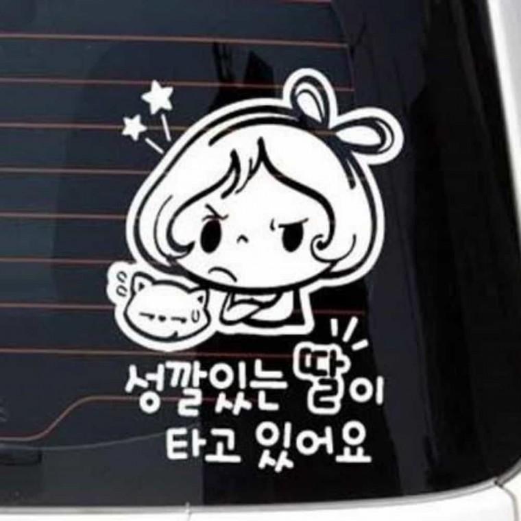 자동차스티커 귀여운차량스티커 자동차반사스티커 차량후면스티커
