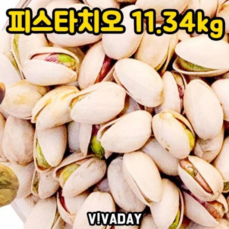 DHD 11.34kg 피스타치오