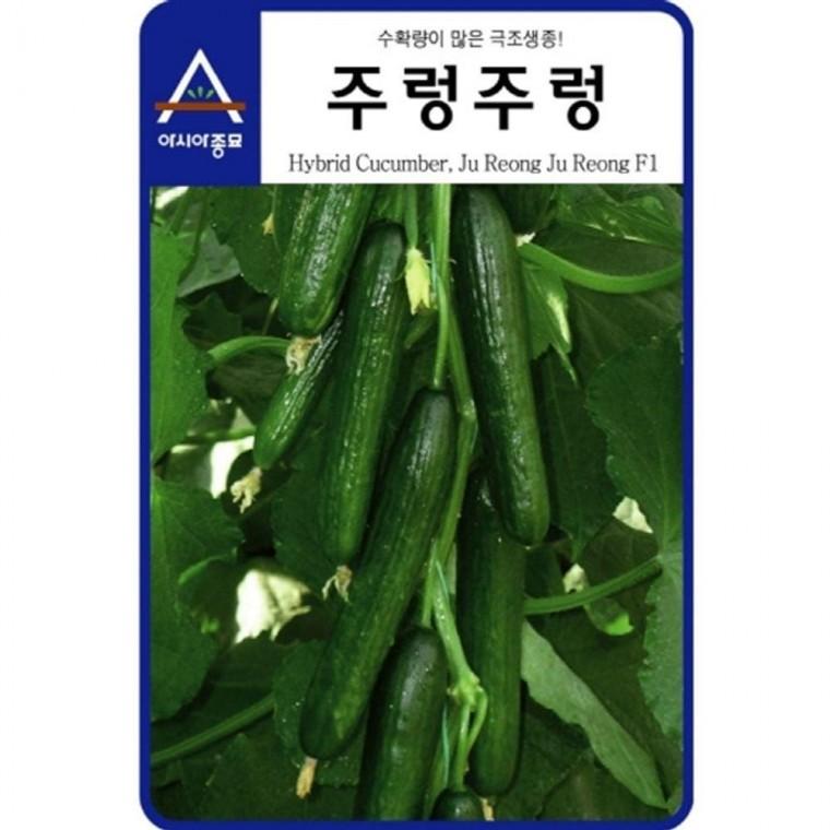 다수확 오이 씨앗 주렁주렁 10 립 종자