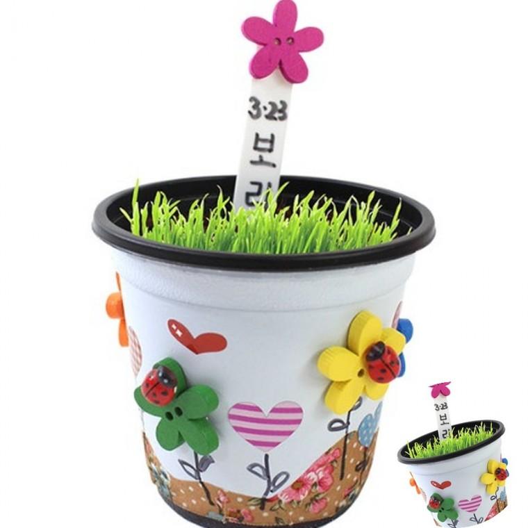 꽃단추 보리화분 만들기 1인용 화분만들기 보리키우기 식물기르기