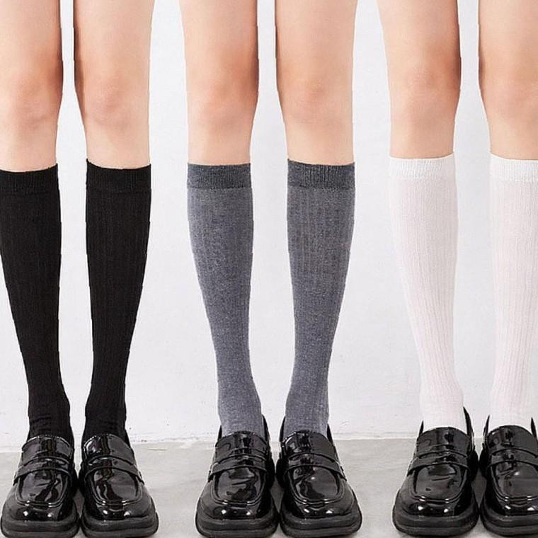 골지 편한 니삭스 구성 교복룩 스쿨룩 데일리 양말